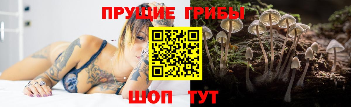 Мариинск  где купить   Псилоцибиновые грибы MAGIC MUSHROOMS  Вход с VPN  Галлюциногенные грибы мухоморы 